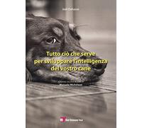 Tutto ciò che serve per sviluppare l’intelligenza del vostro cane
