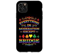 Tutto con moderazione tranne il ponte divertente Rainbow Bridge Custodia per iPhone 11 Pro Max