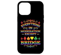 Tutto con moderazione tranne il ponte divertente Rainbow Bridge Custodia per iPhone 12 Pro Max