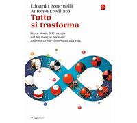 Tutto si trasforma. Breve storia dell'energia dal Big Bang al nucleare, dalle particelle elementari alla vita