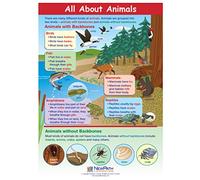 Tutto sugli animali Guide per l'apprendimento visivo, Set/5-4 pannelli, guide laminate da 27,9 x 43,2 cm, panoramica grafica a colori, attività di scrittura e spegnimento