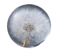 tuwiwol Materiali in resina Denti di leone Dream Ball Stile Per unico Denti di leone in cristallo Figurine Sfera Denti di leone Sfera di cristallo Squisita, Tipo2 8 cm