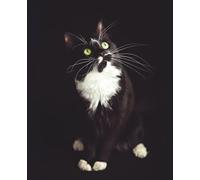 Tuxedo Cat Notebook - Cute Black and White Cat Journal for Cat Lovers, Rescuers, and Pet Parents: Adorable Green-Eyed Tuxedo Cat with White Socks - Perfect Gift for Cat Mums, Dads, and Feline Fans