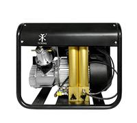 TUXING Compressore d'aria Pcp da 4500 Psi, filtro separatore acqua-olio a due stadi integrato, versione con arresto automatico, compressore per bombole da paintball/scuba 220 V(TXEDM042)