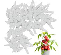 Tuxxjzm Clip per innesto di pomodori, morsetto per innesto di piante in serra, clip di supporto per piante d'appartamento per cetrioli, melanzane, pomodori, angurie, attrezzi da giardinaggio