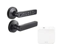 Tuya App Bluetooth Smart impronte digitali serratura password chiave meccanica sblocco NFC for serratura maniglia porta in legno IP54 antipioggia(X1-Basic-Gateway)