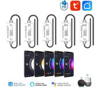 Tuya Controller LED Smart WIFI IP68 impermeabile - Compatibile Alexa Google