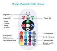 Tuya Controller per Strip LED 5050 RGBW Intelligente Zigbee con Telecomando