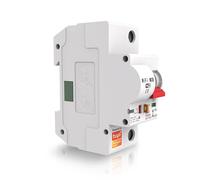 Tuya Interruttore Modulare Smart WiFi 16A compatibile con Alexa e Google