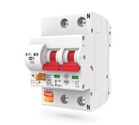 Tuya Interruttore Modulare Smart WiFi 16A compatibile con Alexa e Google