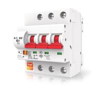 Tuya Interruttore Modulare Smart WiFi 25A compatibile con Alexa e Google