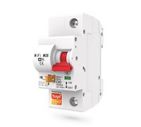 Tuya Interruttore Modulare Smart WiFi 40A compatibile con Alexa e Google