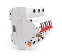 Tuya Interruttore Modulare Smart WiFi 40A compatibile con Alexa e Google