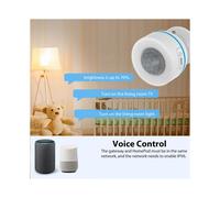 Tuya Matter Thread Rilevatore di Movimento PIR Rilevatore A Infrarossi Wireless per il Corpo Umano Funziona con HomeKit Alexa