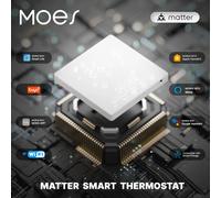 Tuya Matter WiFi Termostato Intelligente Regolatore di Temperatura Acqua Riscaldamento a Pavimento Elettrico Caldaia a Gas con Alexa Google Apple