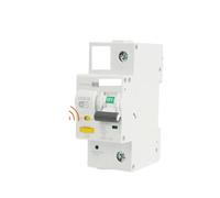 TUYA MCB With metering Smart Miniature Circuit Breaker AC Type Smart Life Remote control Timed 2P 3P EKR3S BIANMTSW(2p,40A)