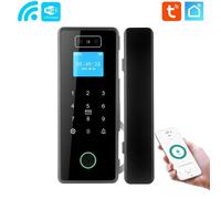 Tuya Serratura Smart WiFi per Porta in Vetro con Riconoscimento Facciale 6in1