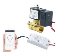 Tuya Smart WiFi - Valvola solenoide per acqua a risparmio energetico da 220 V, timer Bluetooth, supporto per rubinetto da giardino Alexa Google Assistant (1 pollice)