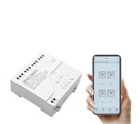 Tuya WiFi AC DC7-32V 85-250V 12V 24V 220V Ricevitore a 1/2/4 canali 10A 16A Relè for modulo interruttore intelligente a 1/2/4 canali Controllo wireless(1CH 85-250V Shell)