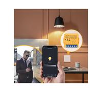 Tuya WiFi Dimmer Modulo 2CH Controllo Luci LED Interruttore Dimmerabile Regolazione Continua + Controllo Vocale