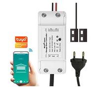 Tuya WiFi Garage Door Opener Smart Gate Controllor App Control funziona con Speaker