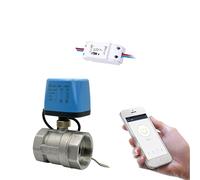 Tuya WiFi Smart Electric Ball Valve Stainless Steel Timing Smart Switch Water Smart Life Control Support Alexa Google Home 220V(2")