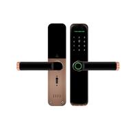 Tuya WiFi Smart Fingerprint Pannello Smerigliato Biometrico Digital Smart Door Lock Password IC Card Sicurezza Blocco Bambini(22X160 5050)