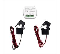 Tuya ZigBee Smart Energy Switch Misuratore di tensione e corrente APP Statistiche in tempo reale Consumo Interrogazione 2CT