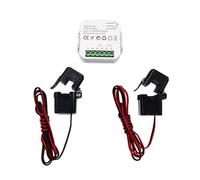 Tuya ZigBee Smart Energy Switch Misuratore di tensione e corrente APP Statistiche in tempo reale Consumo Interrogazione 2CT
