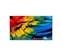 Philips 65HFL6214U/12 TV 165,1 cm (65") 4K Ultra HD Wi-Fi Antracite 400 cd/m²