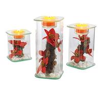 TV unser Original 08719 - Set di Supporti per candeline, Motivo 4 Stagioni, 3 pz