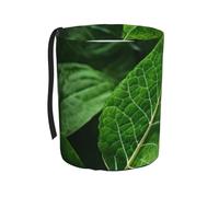 TVGPYBXF Green Leaf Nature - Pattumiera per auto, a prova di perdite, inodore, consente di viaggiare puliti e igienici.