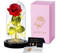TWBEST La Bella e La Bestia Rosa Eterna,Rosa Bella e La Bestia con Luce a LED con 1 Biglietto di Auguri,Romantico Kit di Rose per Il San Valentino Anniversario Matrimonio Regalo di Festa della Mamma