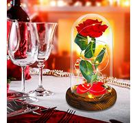 TWBEST Rosa Eterna,Kit di Rose,La Bella e La Bestia Rose Incantate,Elegante Cupola di Vetro con Base Pino Luci LED,per Anniversario San Valentino Compleanno