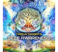 Twelve Sessions - Self Awareness