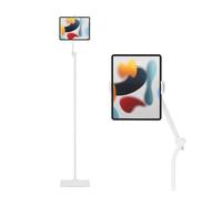 Twelve South HoverBar Tower for iPad ?