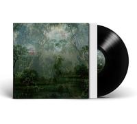 Twice a Man The Coloured Breeze Is a New Dimension (Vinyl LP) 12" Album