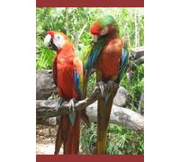 Twiddle De The Talking Parrot Spadazz!: fiction, funny, intelligent, clipped wing, use long sentences, colorful, special word spadazz, parents George and Maggie, new release. Children book
