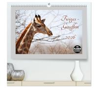 Twigas - Giraffen (hochwertiger Premium Wandkalender 2026 DIN A2 quer), Kunstdruck in Hochglanz: Giraffen - Twiga heissen sie auf Suaheli, die sanften und anmutigen Tiere aus dem fernen Afrika.