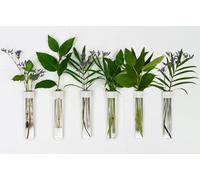 TWILG - Provette per fiori con pelle bianca e magnete da parete - Set da 6 - Vaso per fiori, vaso magnetico, provette con supporto