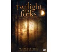 Twilight in forks