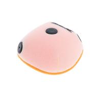 Twin Air Filtro aria standard