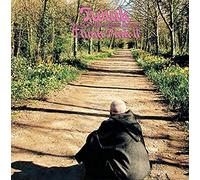 Twink & The Technicolour Dream - Think Pink Ii