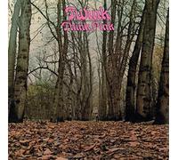 Twink - Think Pink