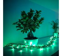 twinkly Ghirlanda luminosa RGB, nera, 250 luci 20m TWS250STP-BEU