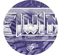 Twins - You'Ve Got a Twin in the Attic (You Lunatic)