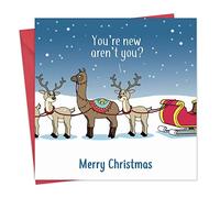 Twizler - Biglietto di auguri di buon Natale con confusione di lama - divertente biglietto di Natale - Biglietto di Natale - Biglietto di Natale - Biglietto di Natale da donna
