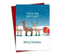 Twizler Biglietto di Natale divertente, con renne, con scritta "You're New", interno bianco