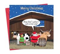 Twizler Biglietto di Natale divertente, motivo mucca scozzese delle Highland - Biglietto di auguri di Natale divertente - da uomo per lui, marito, papà, figlio, da donna, per moglie, mamma, figlia