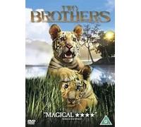 Two Brothers DVD [Edizione: Regno Unito]